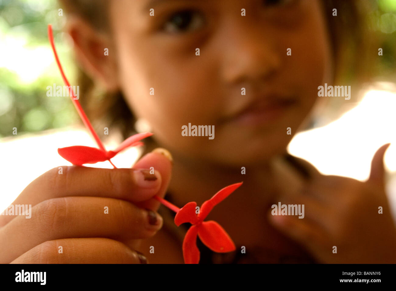 Ein junges Mädchen macht Halsketten von Ixora Blüten in Kolonia, Insel Pohnpei, Föderierte Staaten von Mikronesien. Stockfoto