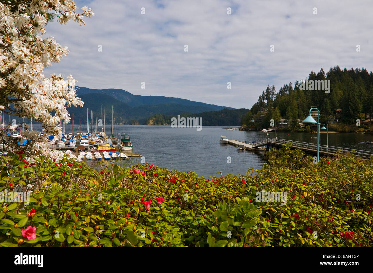 North Vancouver, Blick auf den Hafen von Deep Cove-Siedlung und des indischen Arm inlet Stockfoto