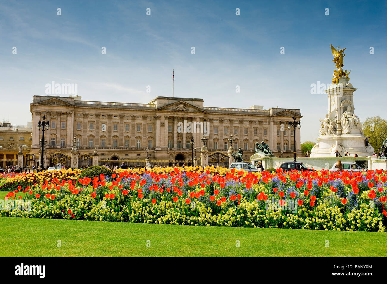 England london buckingham palace tulips Fotos und Bildmaterial in