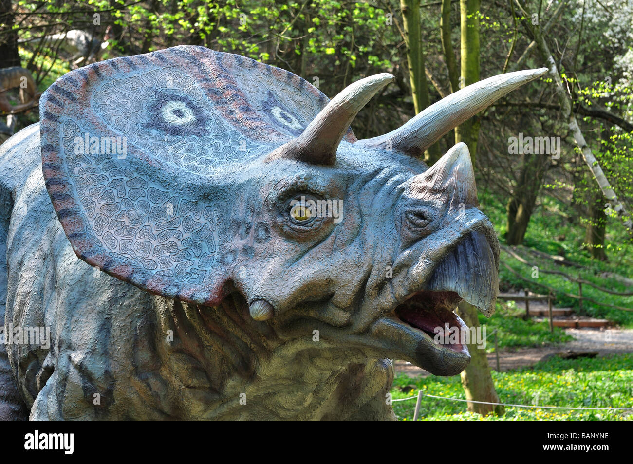 Triceraptos Dinosaurier im jurassic Park Bratislava ZOO Stockfoto