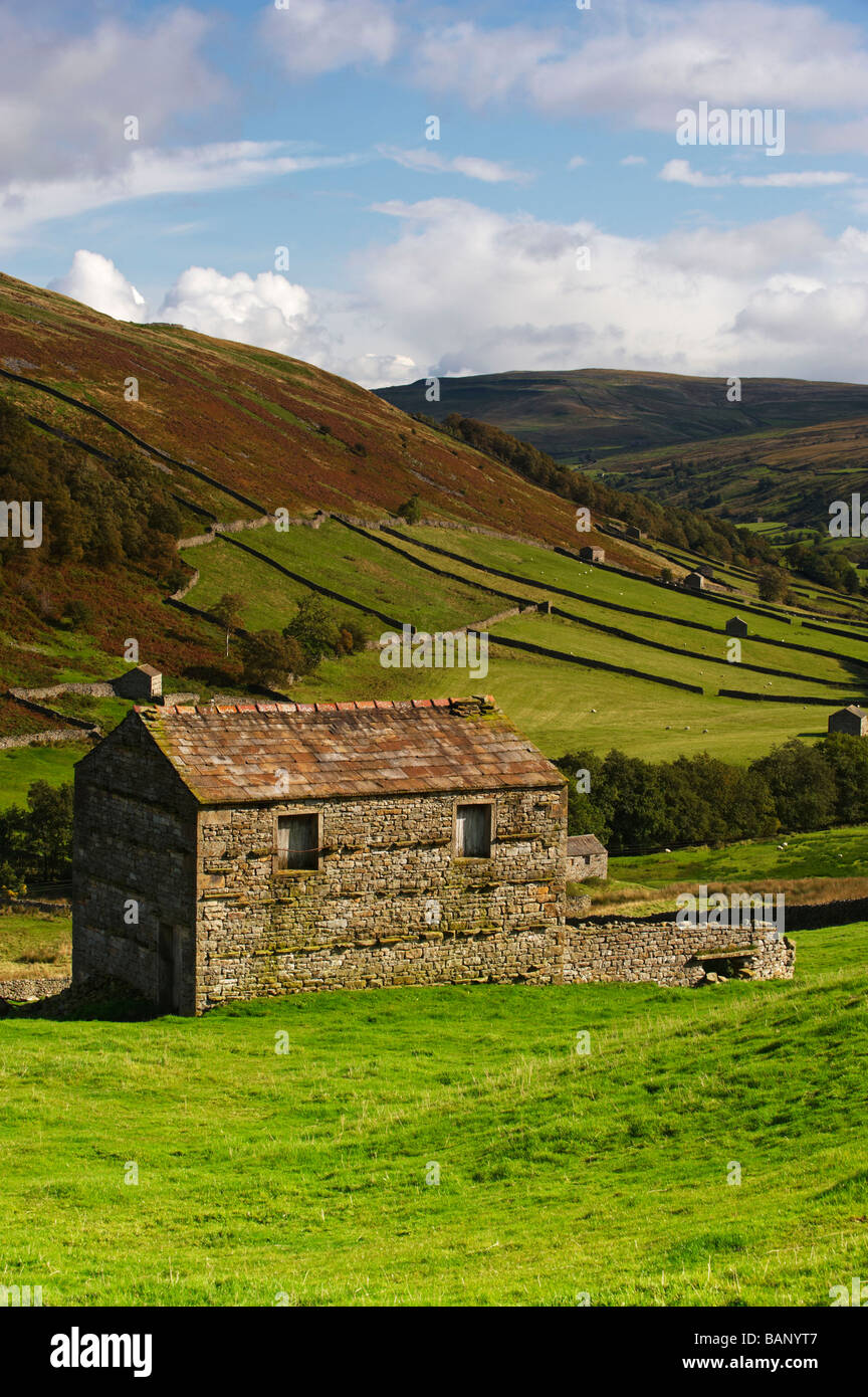 Oberen Swaledale Yorkshire UK Stockfoto