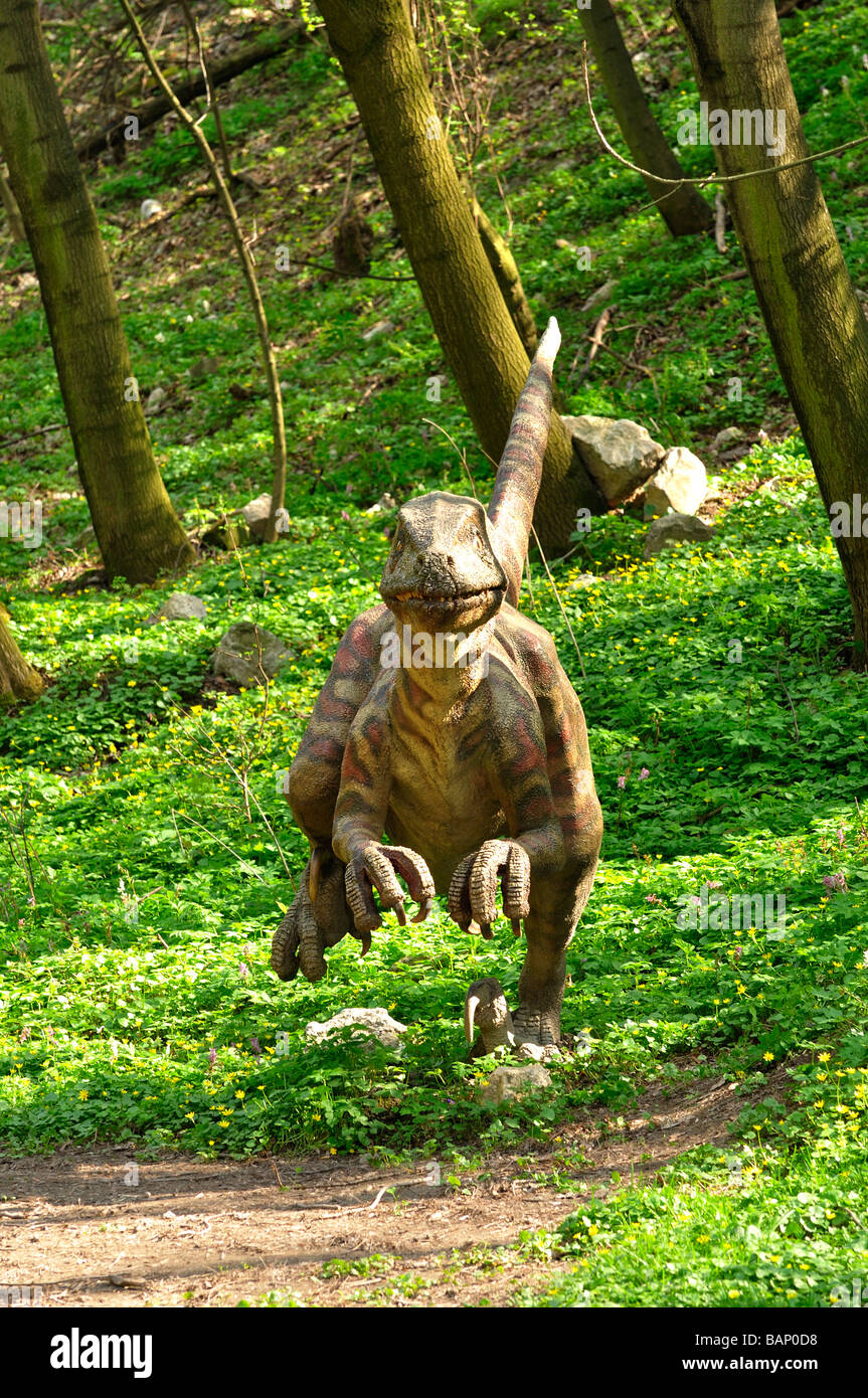 Velociraptor in jurassic Park ZOO Bratislava Vorderansicht ausgeführt Stockfoto