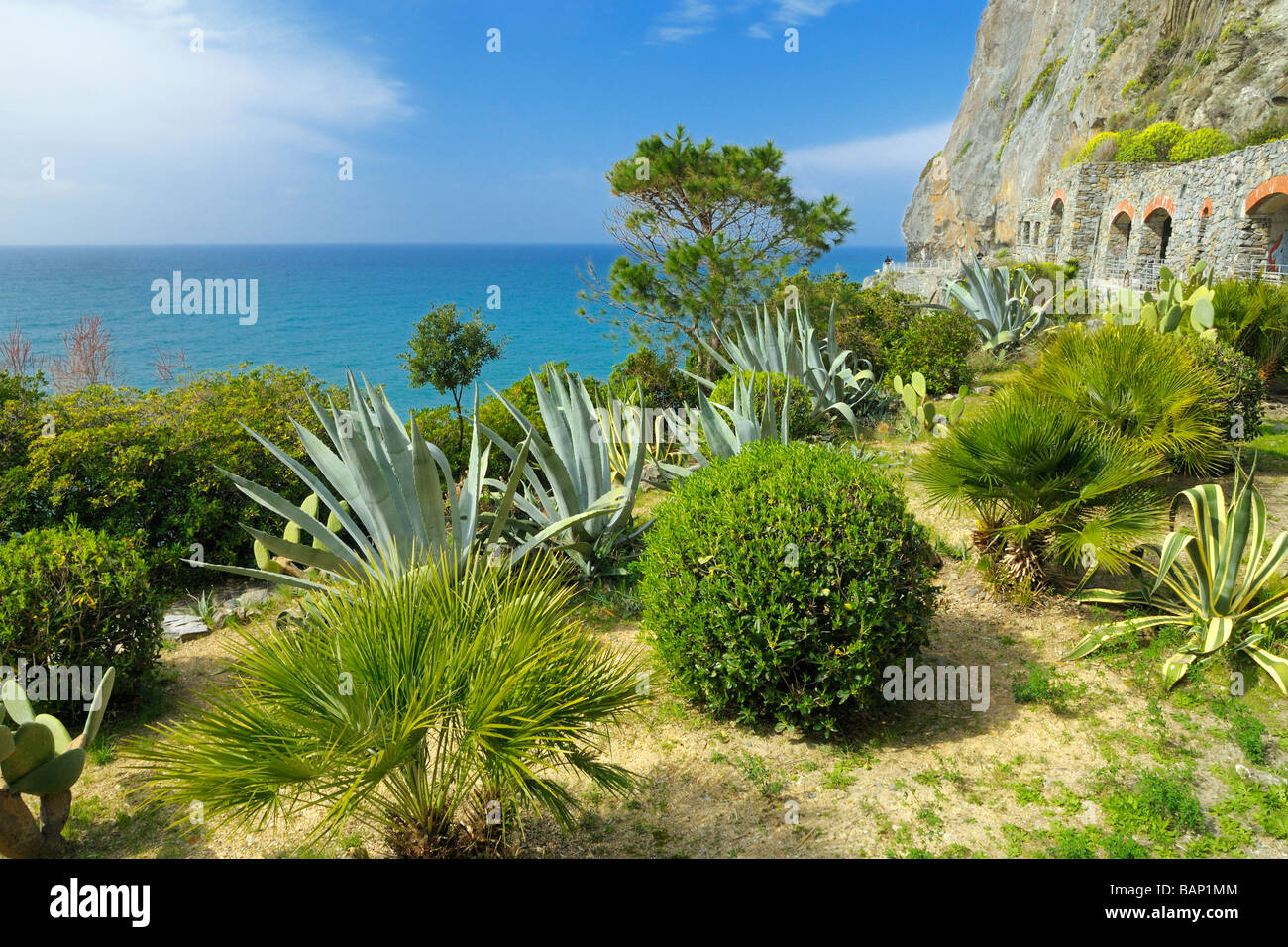 Ein kleiner Park durch die Gallerie auf der Via del Amore zwischen den Städten von Manarola und Riomaggiore, Cinque Terre, Ligurien, Italien. Stockfoto