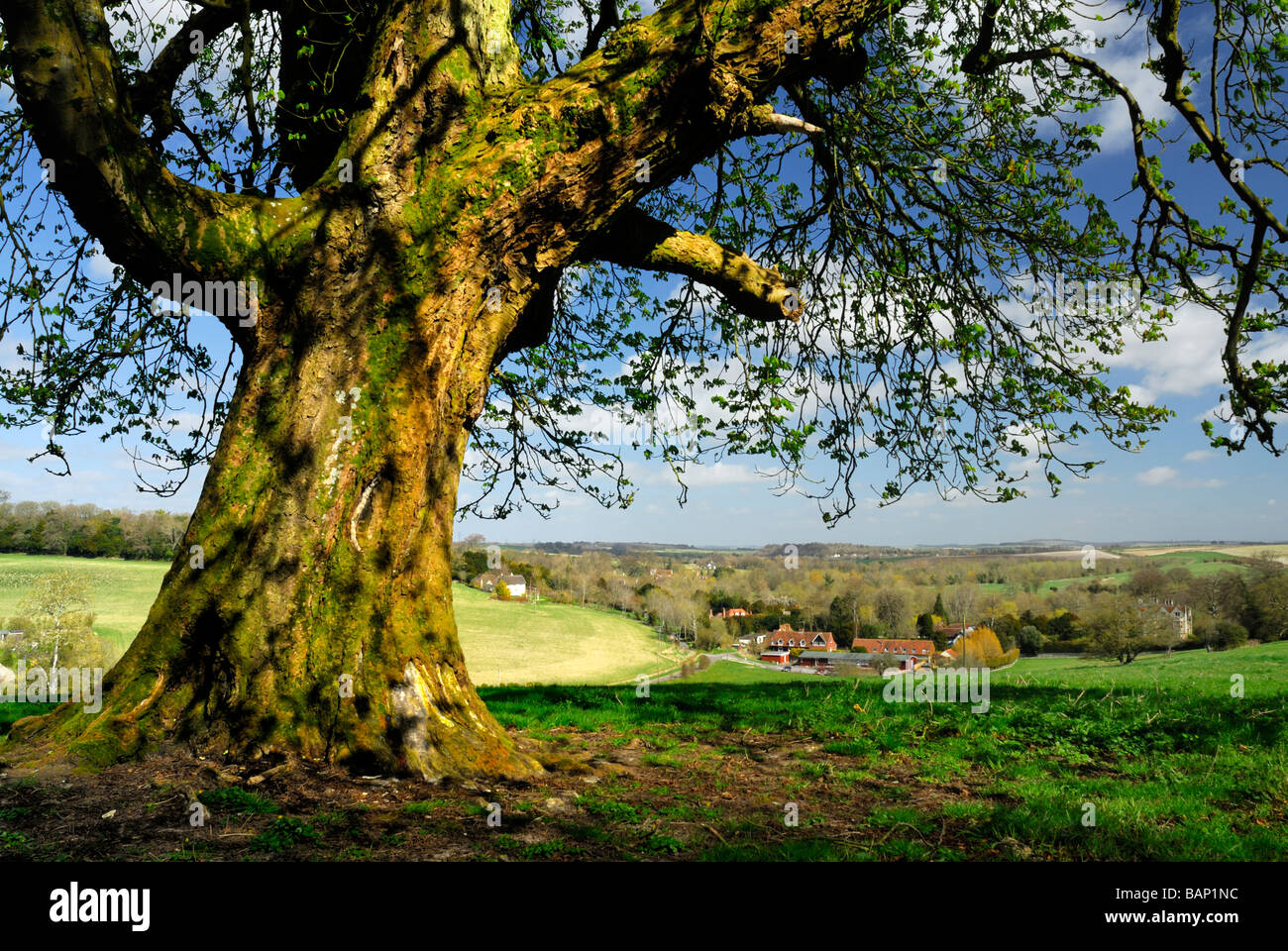 Blick über die Landschaft Wiltshire in Richtung Wien Stockfoto