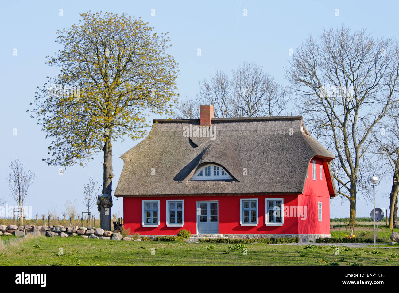 moderne reetgedeckten Haus in Norddeutschland, Mecklenburg Vorpommern, Insel Rügen, Putgarten Stockfoto