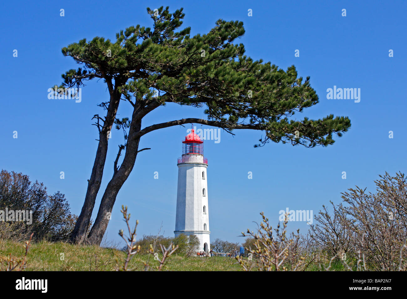 Leuchtturm, Insel Hiddensee, Mecklenburg Vorpommern Stockfoto