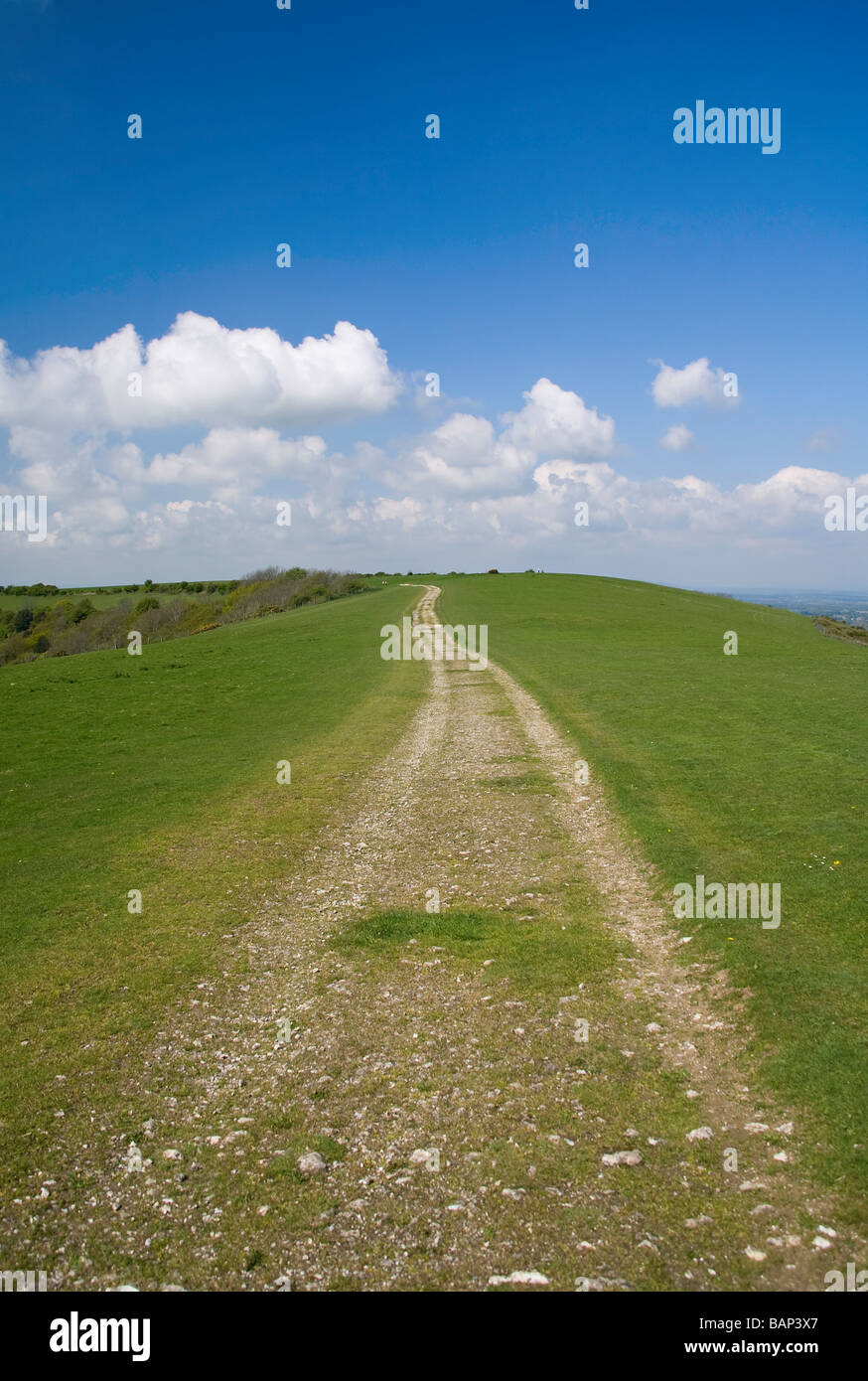 South Downs Way Überschrift westlich von Chanctonbury, West Sussex, UK Stockfoto