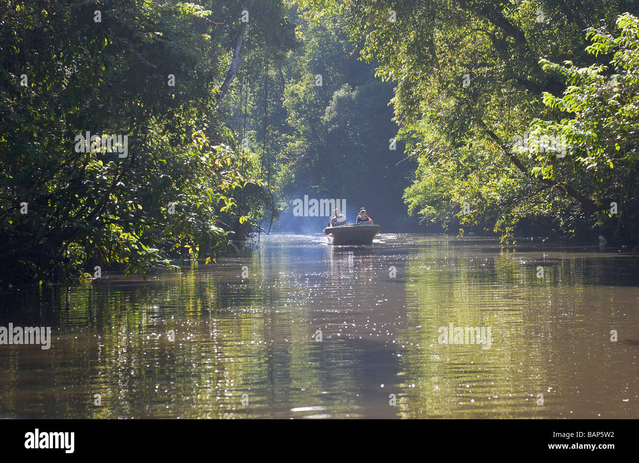 Touristenboot an einem Nebenarm der Kinabatangan Fluss Sukau Sabah Borneo Stockfoto