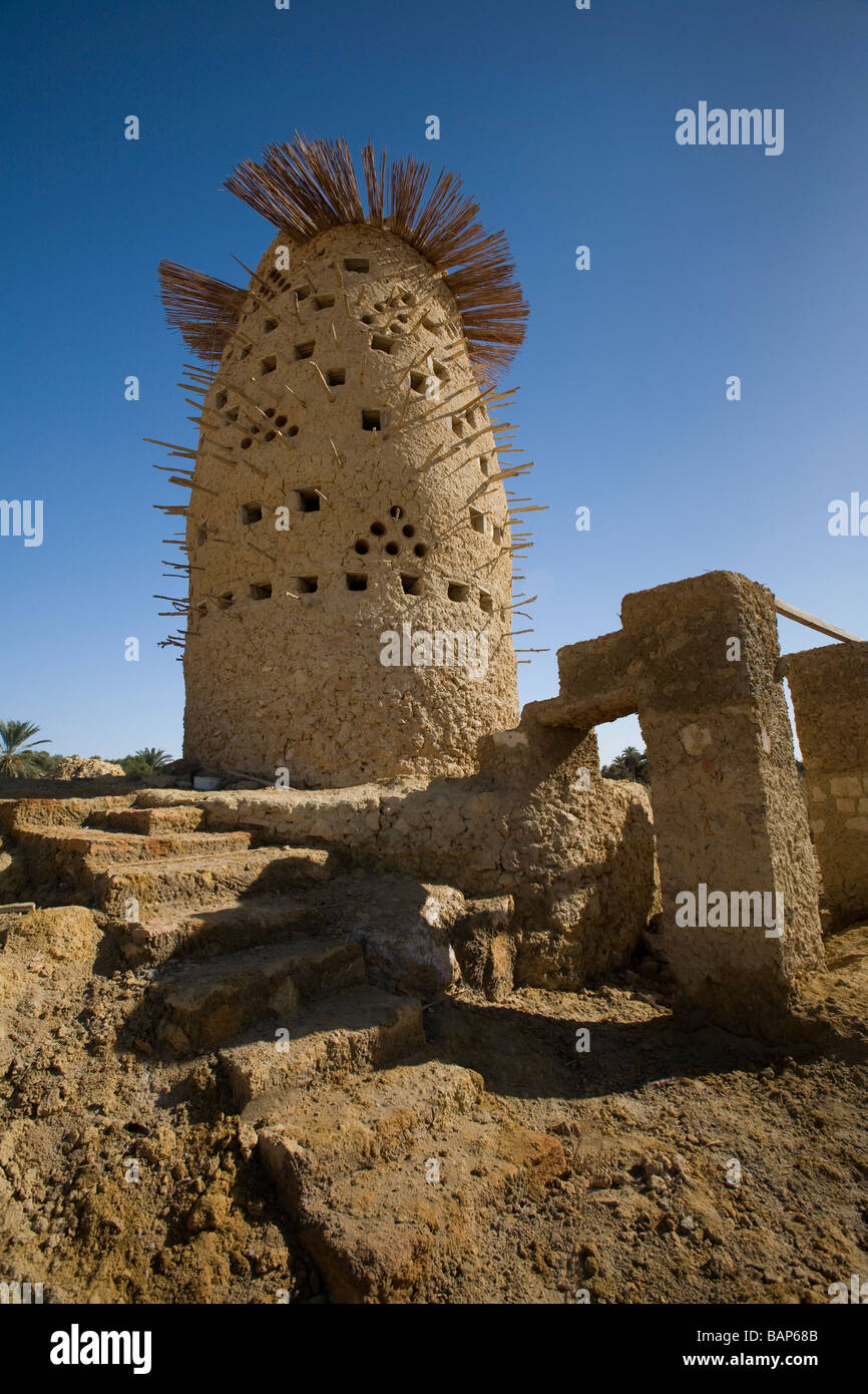 Siwa Oase, Ägypten; Ein Schlamm-Backstein-Taubenhaus Stockfoto