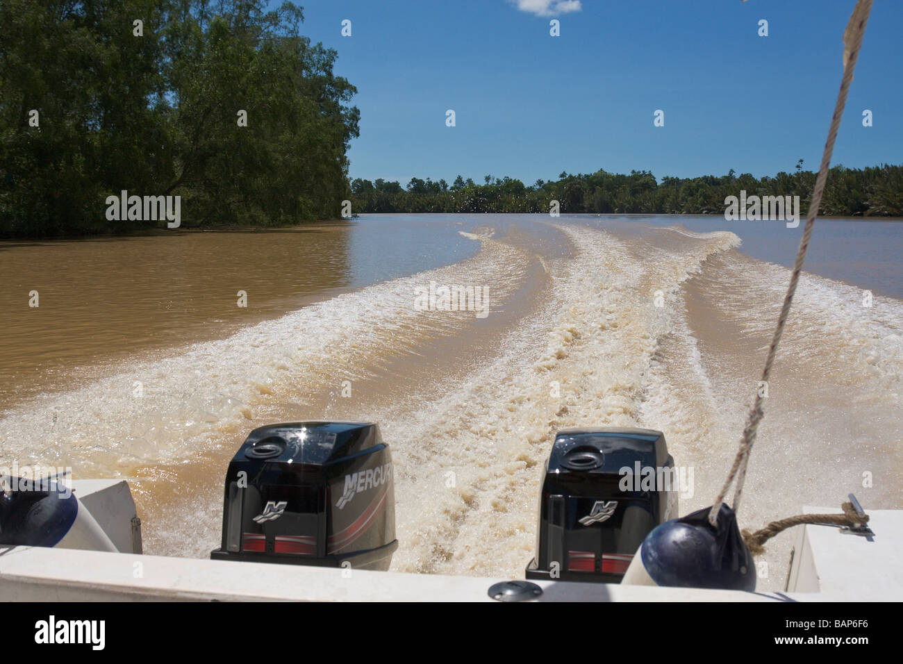 Der Kinabatangan Fluss Sabah Borneo Stockfoto