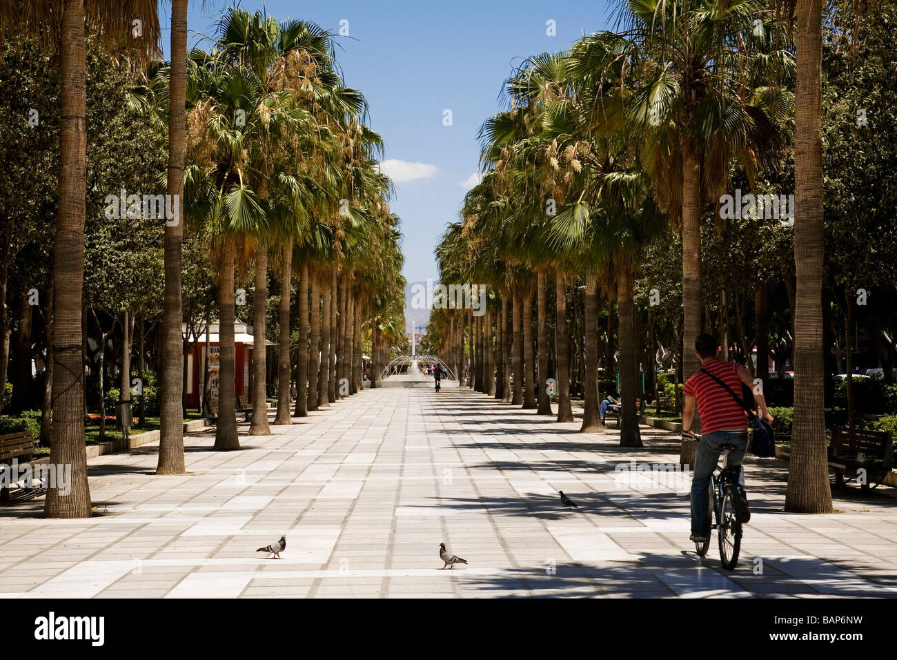 Paseo de La Rambla Almeria Andalusien España La Rambla Almeria Andalusien Spanien Stockfoto