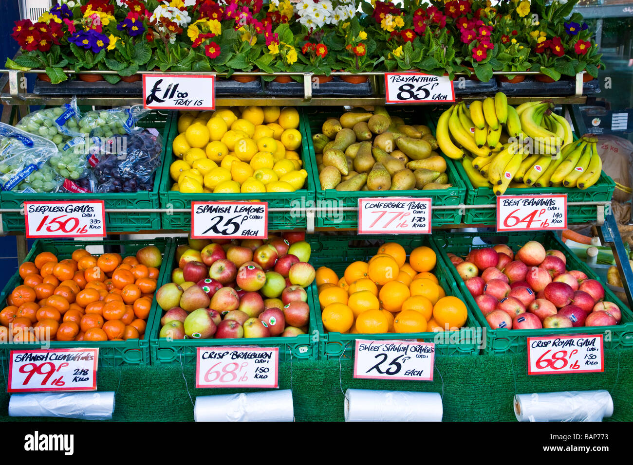 Obst und Polyanthus Beetpflanzen in gestuften Anzeige außerhalb ein Gemüsehändler Shop oder Store in England UK Stockfoto