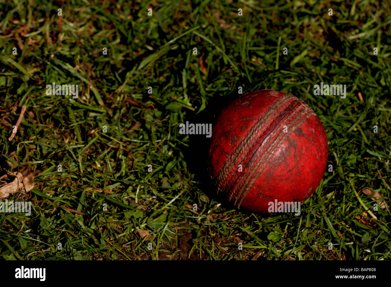 Ein gut abgenutzter roter Cricket-Ball im Gras Stockfoto