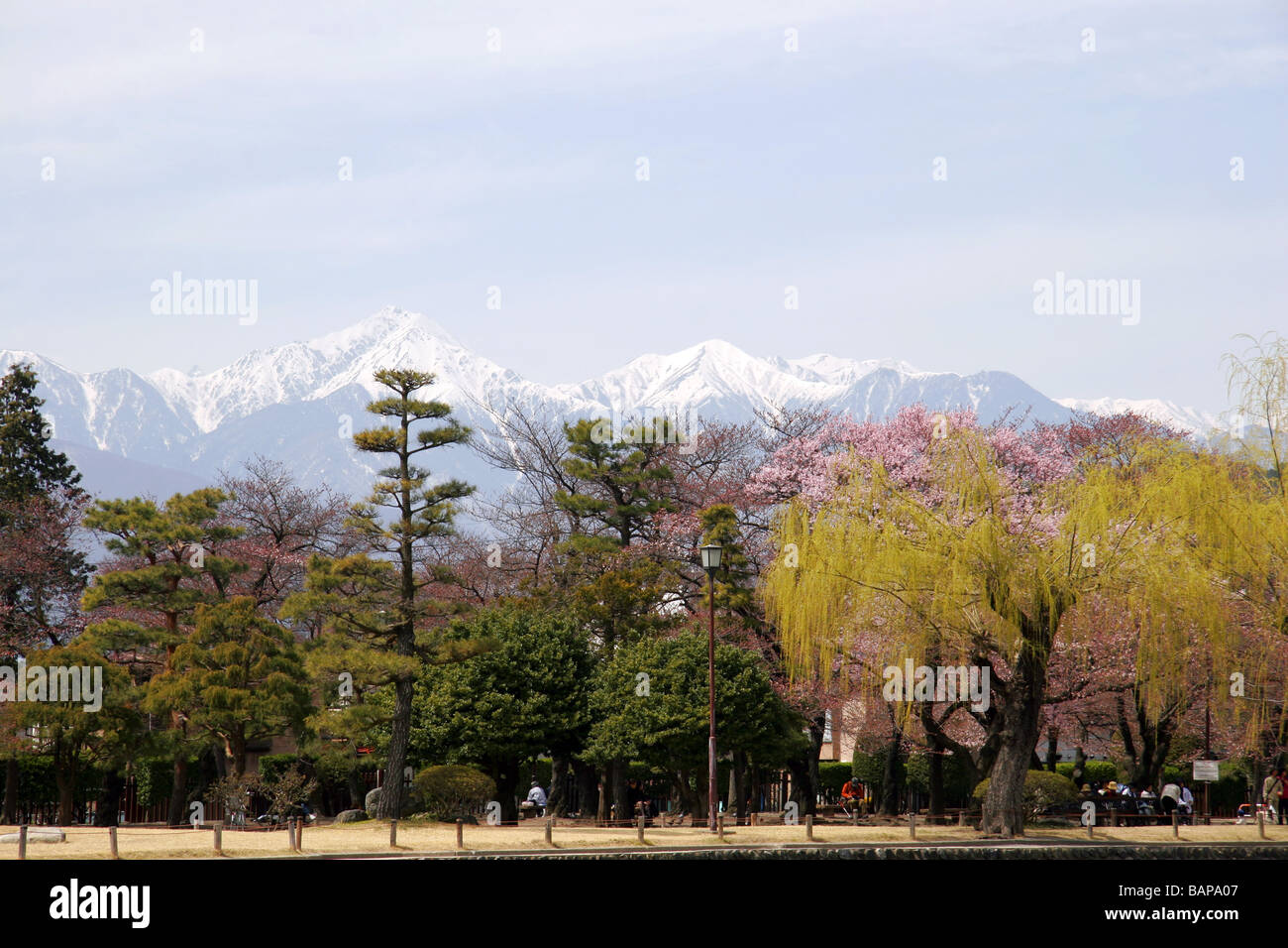 Bäume auf dem Gelände der Burg Matsumoto, Hotaka-Bergkette im Hintergrund, Matsumoto, Japan Stockfoto