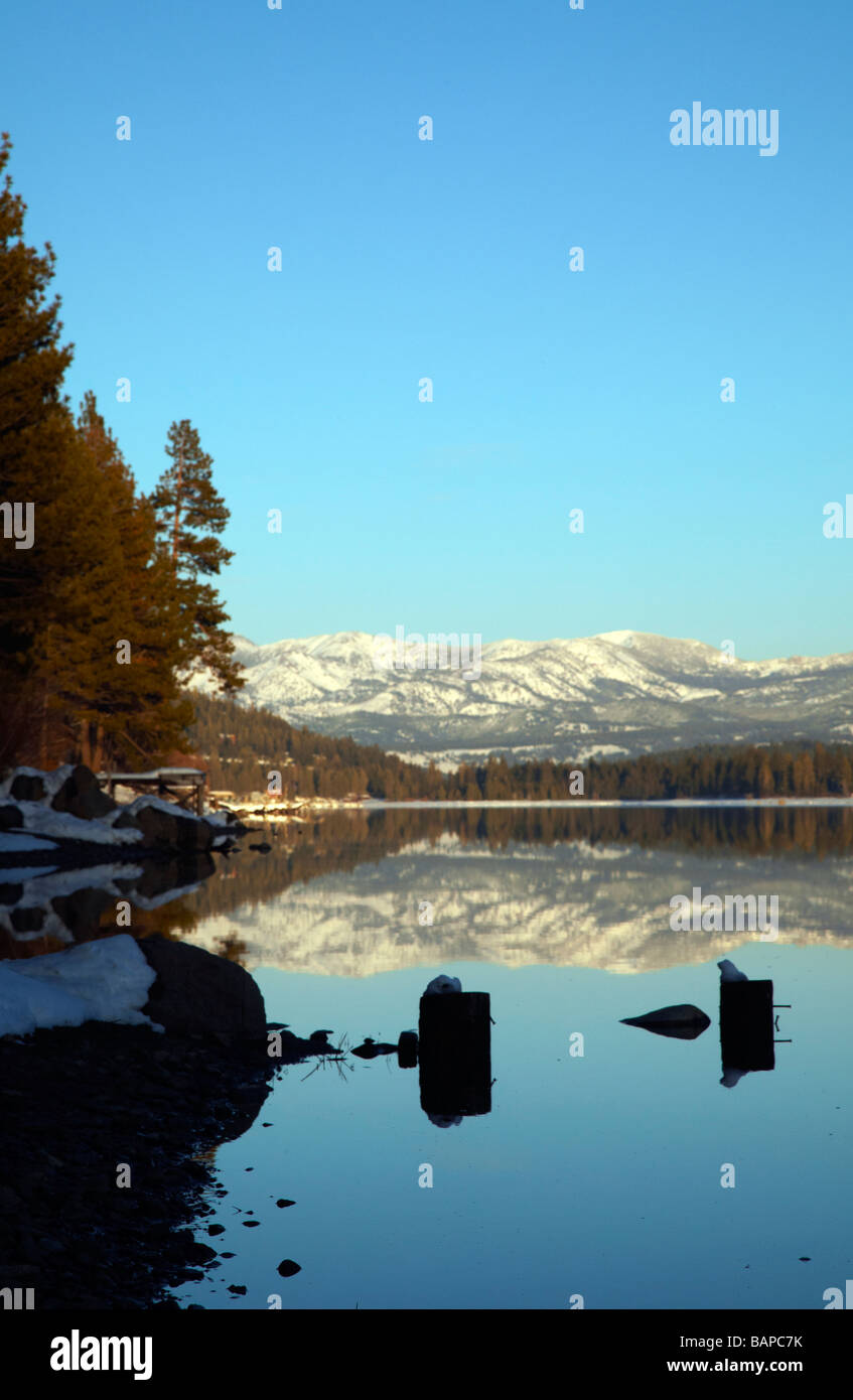 Hölzerne Stümpfe in Wasser, Donner Lake, Truckee, Kalifornien Stockfoto