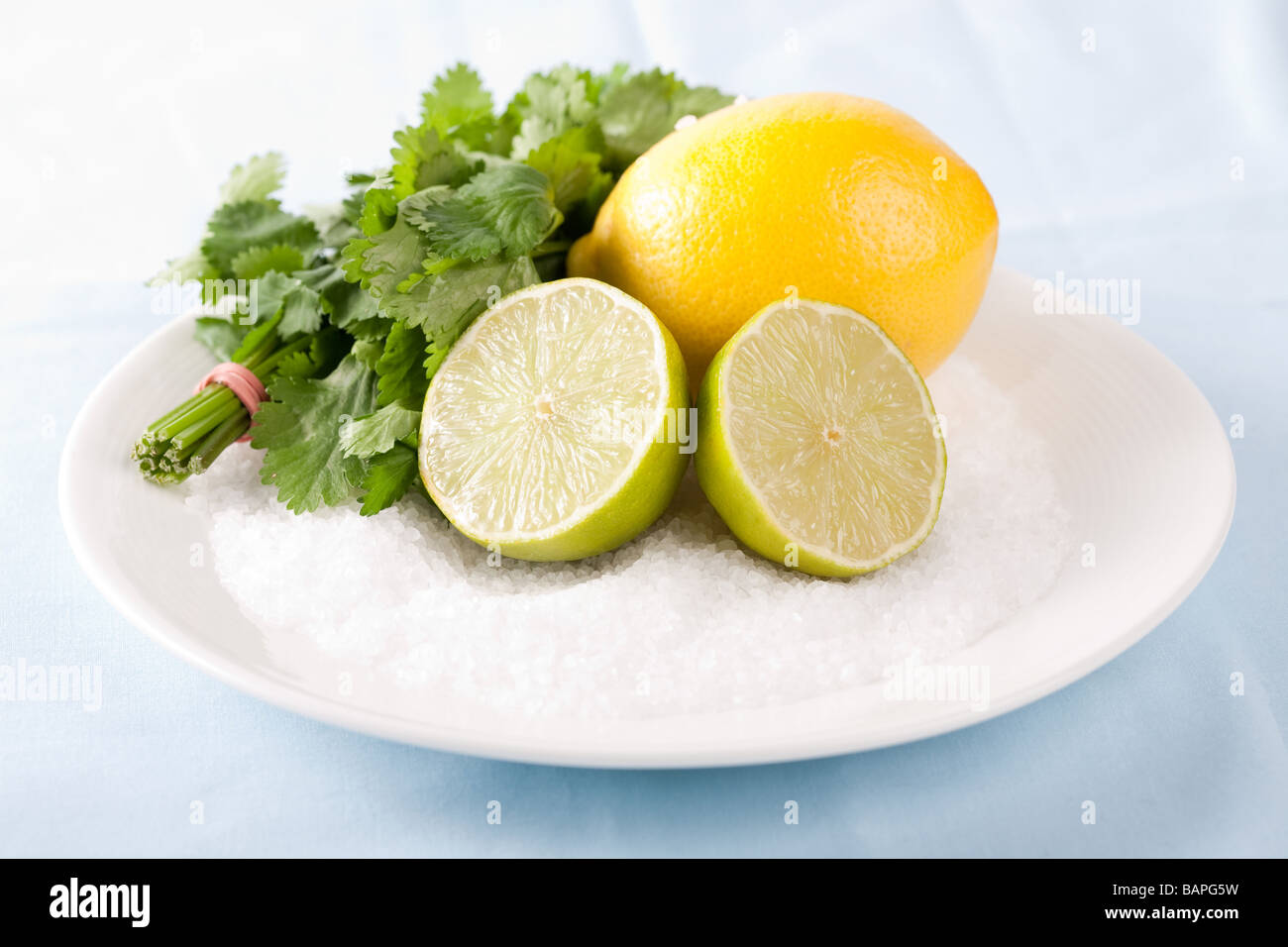 Köstliche frische Zitrone Limette und Koriander Blätter am Meer Salz Stockfoto