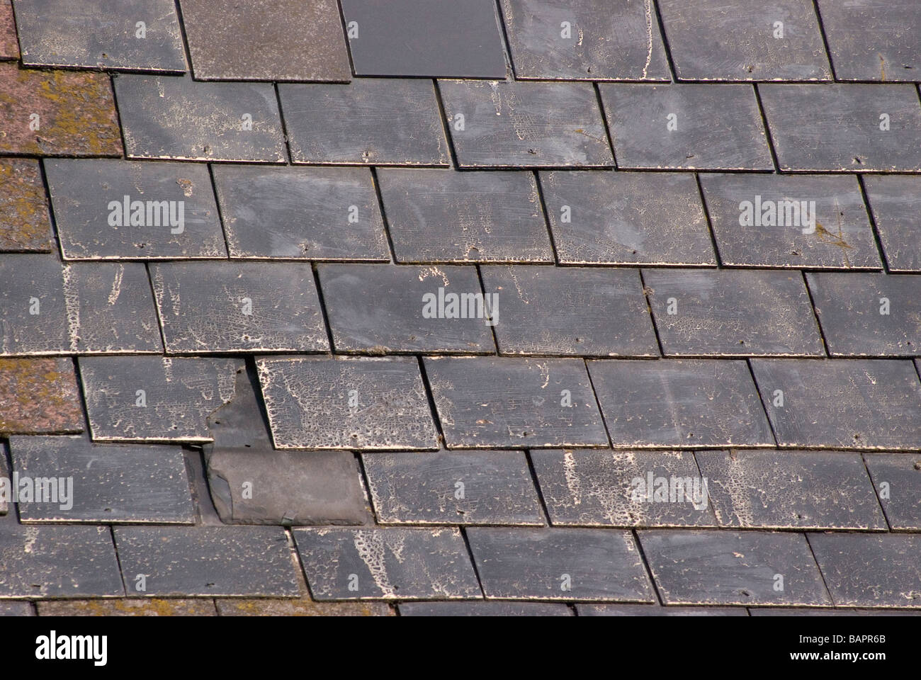 Alte Dachziegel auf einem Meer chalet Stockfoto