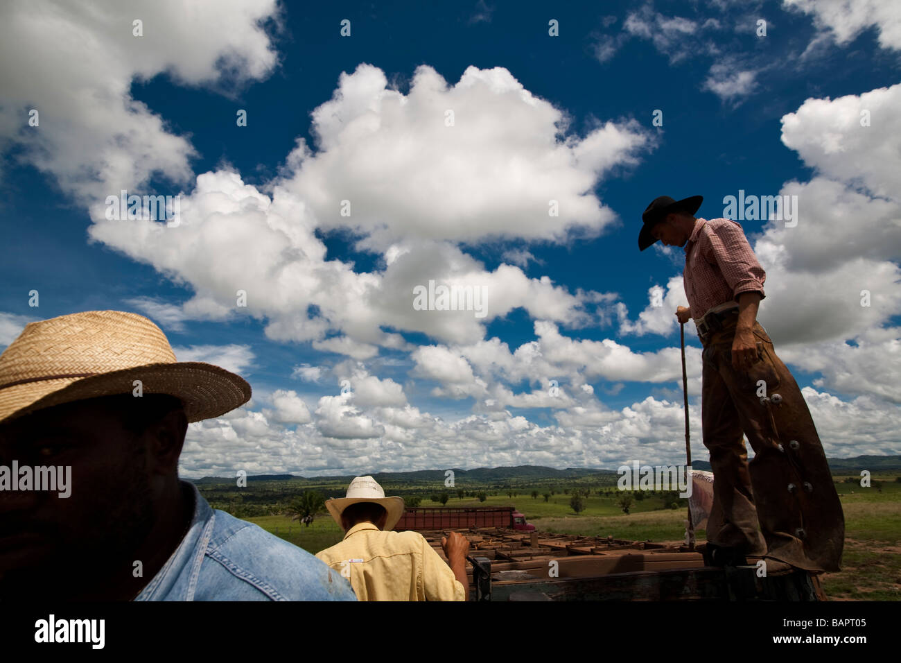 Rinder zum Schlachthof Anlage Jacutinga Bauernhof Figueirópolis d Oeste Mato Grosso Staat Brasilien be- Stockfoto