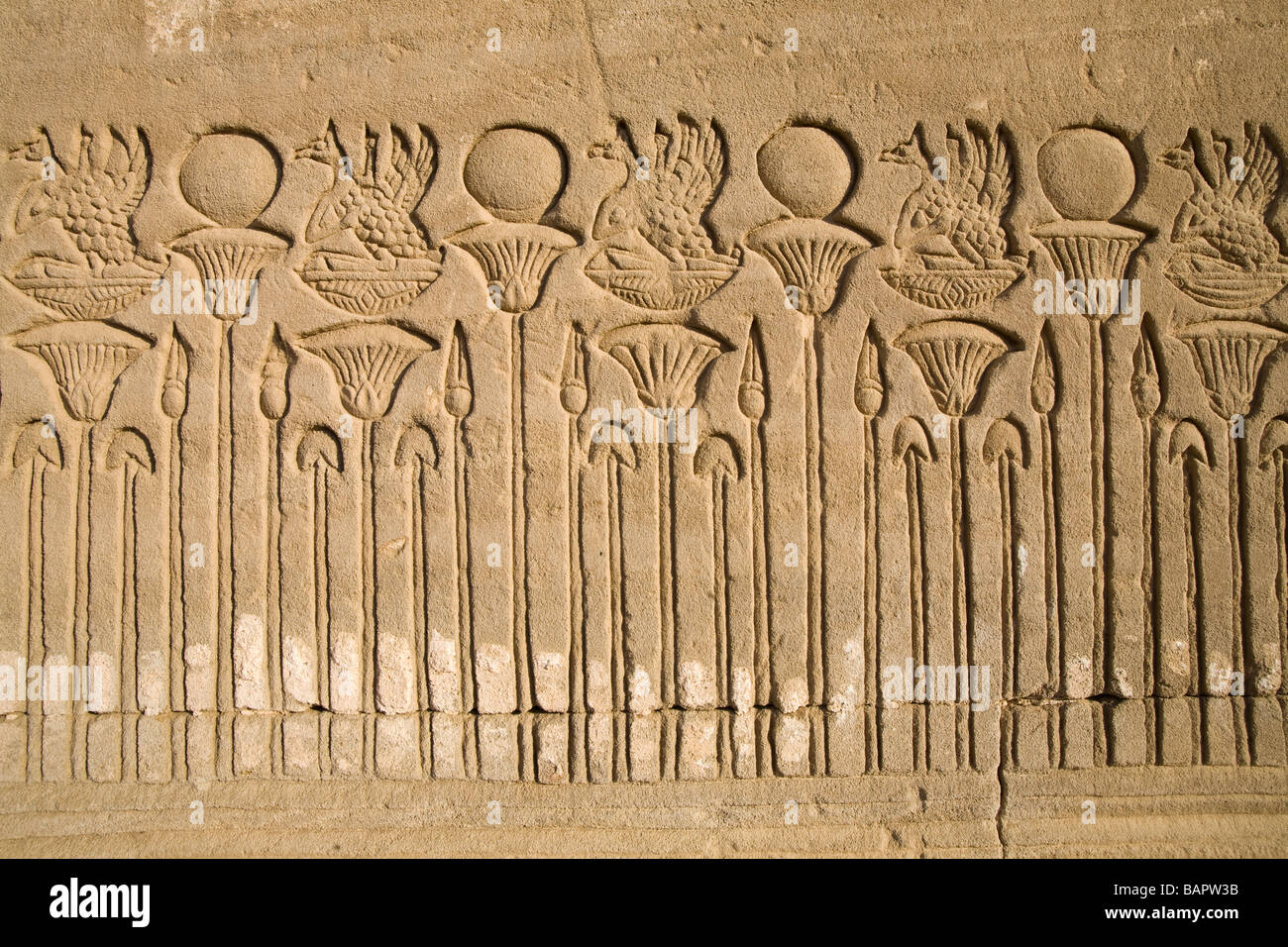 Unvollendete Grenze an Wand des römischen Badehaus in Dendera Tempel, Niltal, Ägypten, Nordafrika Stockfoto
