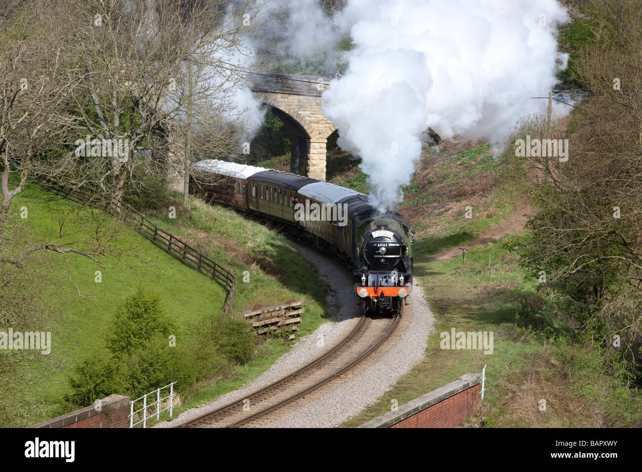 Tornado Peppercorn Klasse A1 Pacific 60163 Stockfoto