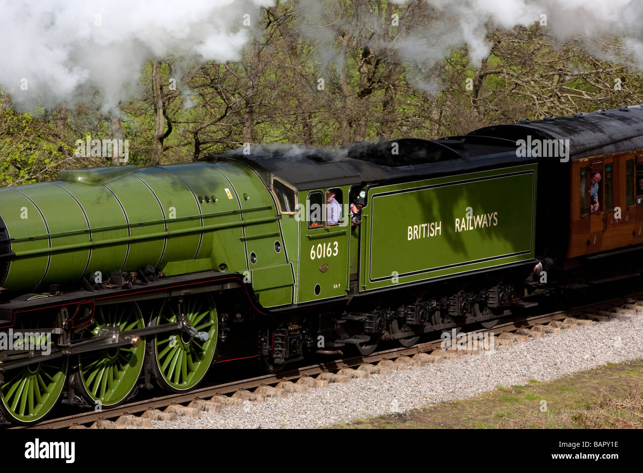Tornado Peppercorn Klasse A1 Pacific 60163 Stockfoto