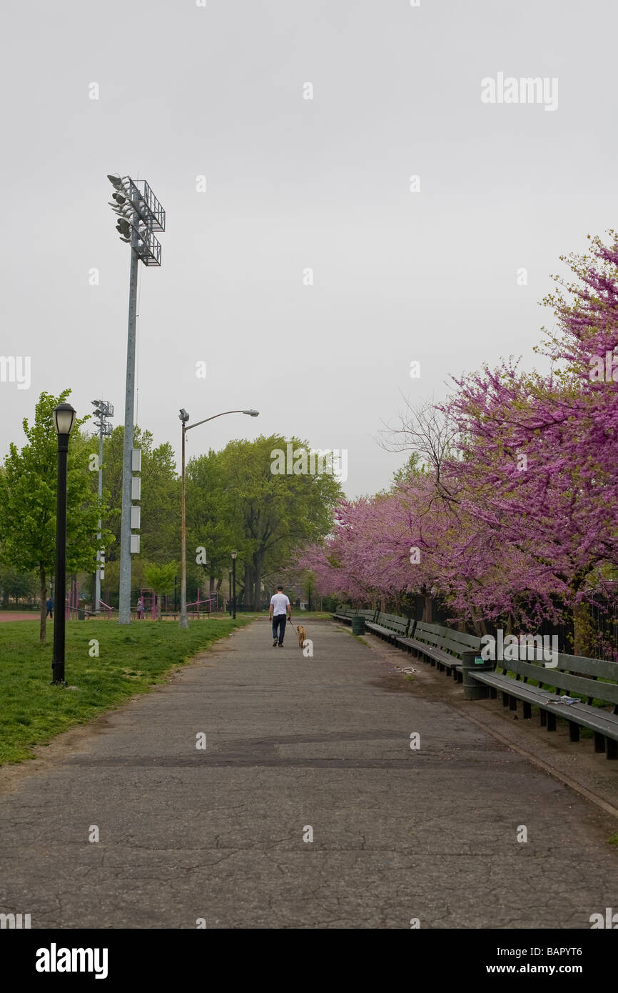Ein einsamer Mann und sein Hund geht davon an einem grauen Frühlingsmorgen in McCarren Park Brooklyn New York Stockfoto