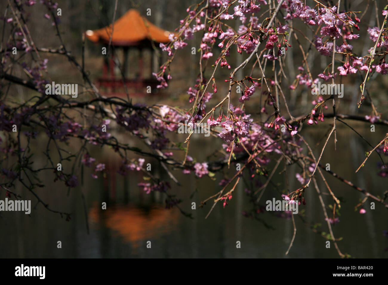 Pagode entlang sieben Juwel See im Chuang Yen Kloster in Carmel, New York, USA Stockfoto