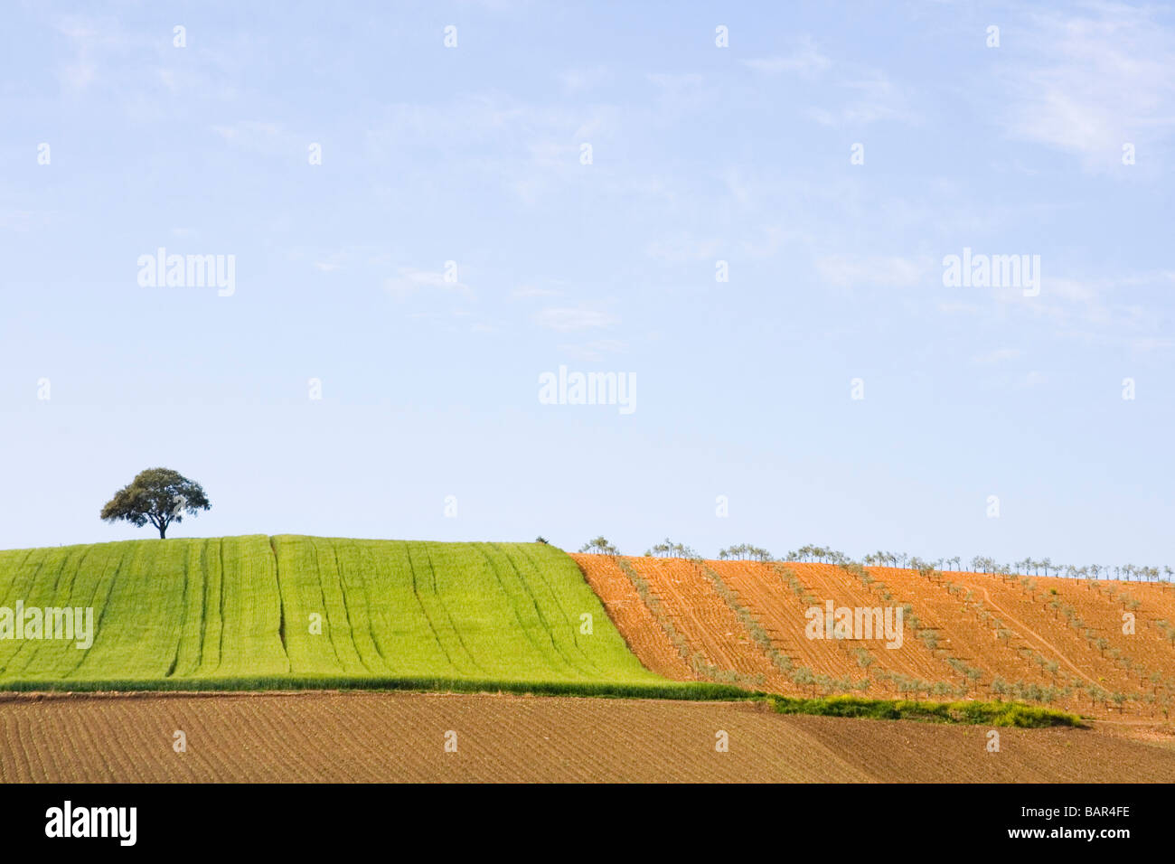 Eine hügelige Landschaft in Cordoba Provinz Andalusien Spanien Stockfoto