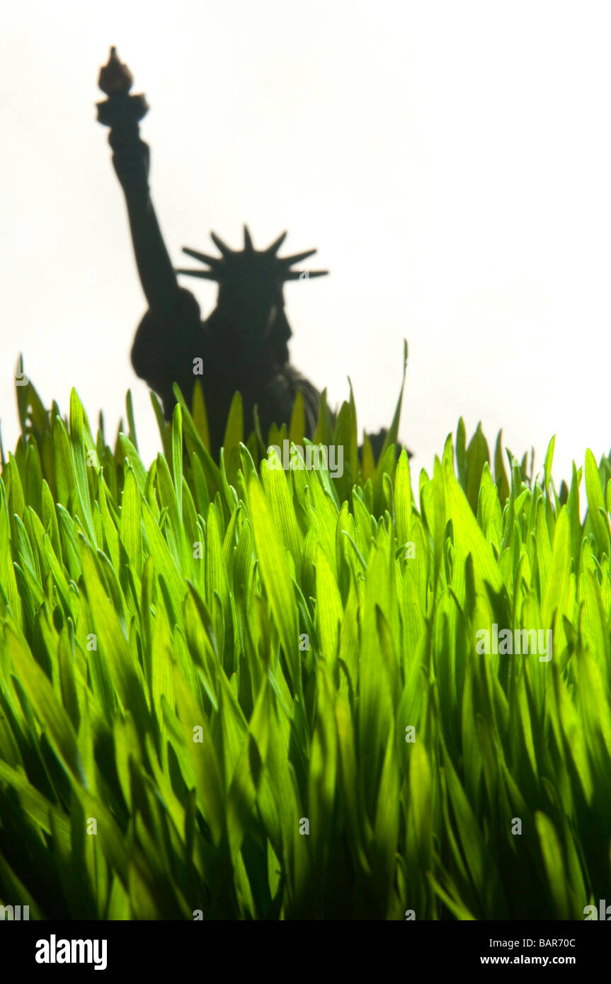Weizen Grass Nahaufnahme mit Statue of Liberty-Modell. Stockfoto