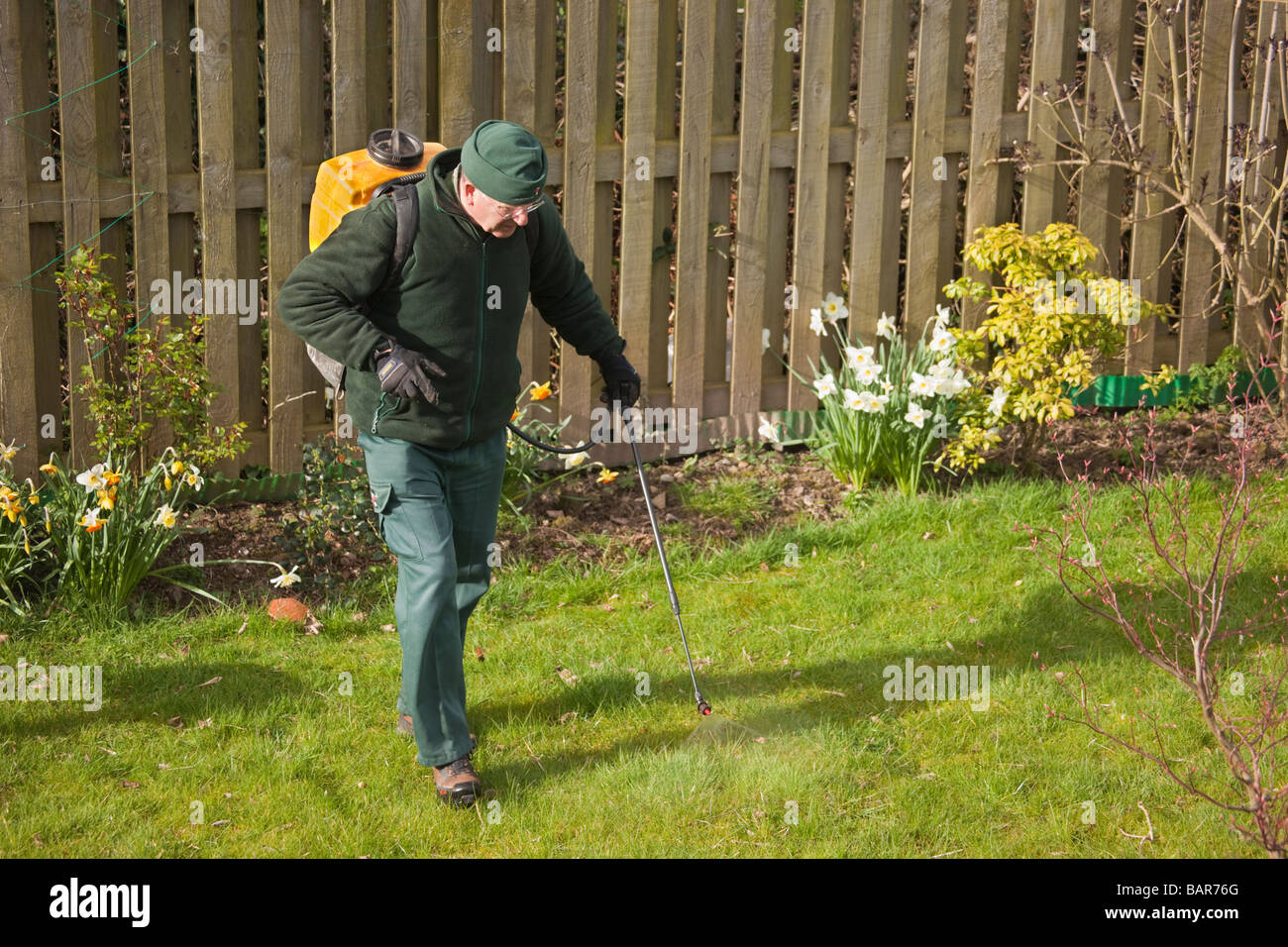 Großbritannien UK Europa Mann Anwendung Frühjahr Rasen Behandlung Unkrautvernichtungsmittel im Garten Stockfoto