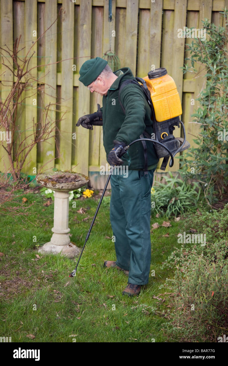 Mann die Feder rasen Behandlung mit Unkraut und Moos Killer in einem Garten. Großbritannien Großbritannien Stockfoto