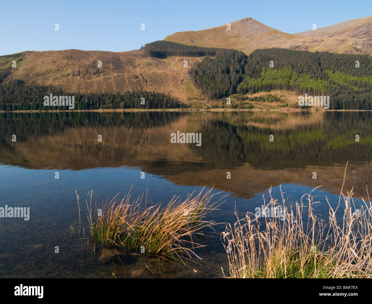 Nanty Betws Gwynedd Wales UK Nordansicht über Llyn Cwellyn Stausee mit Reflexionen in Snowdonia "Nationalpark" Stockfoto