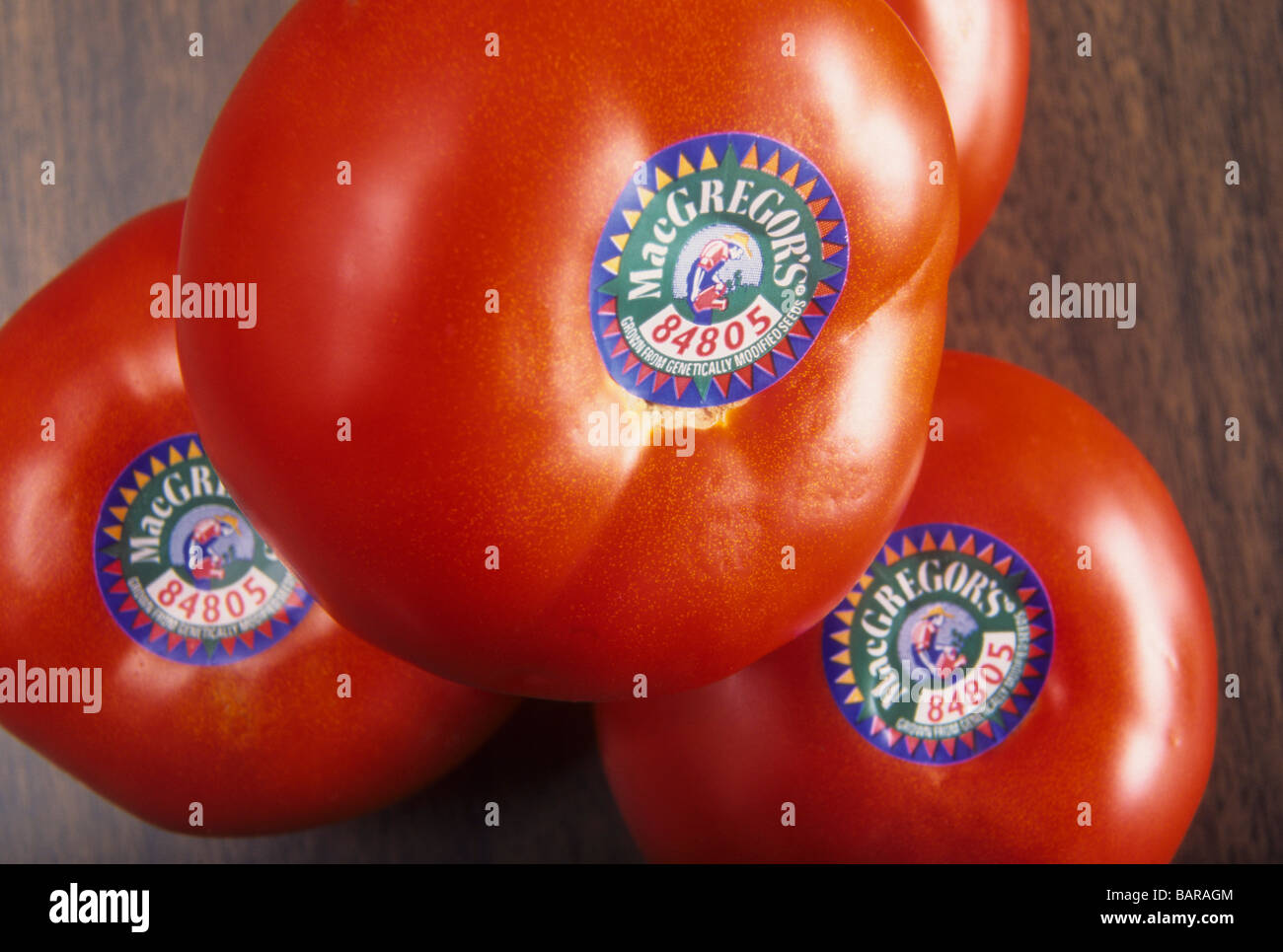 gentechnisch verändern Veränderung Landwirtschaft Lebensmittel Bio pure Gefahr sicher roh Pest Kontrolle effiziente Ausbeute Tomatenernte Stockfoto