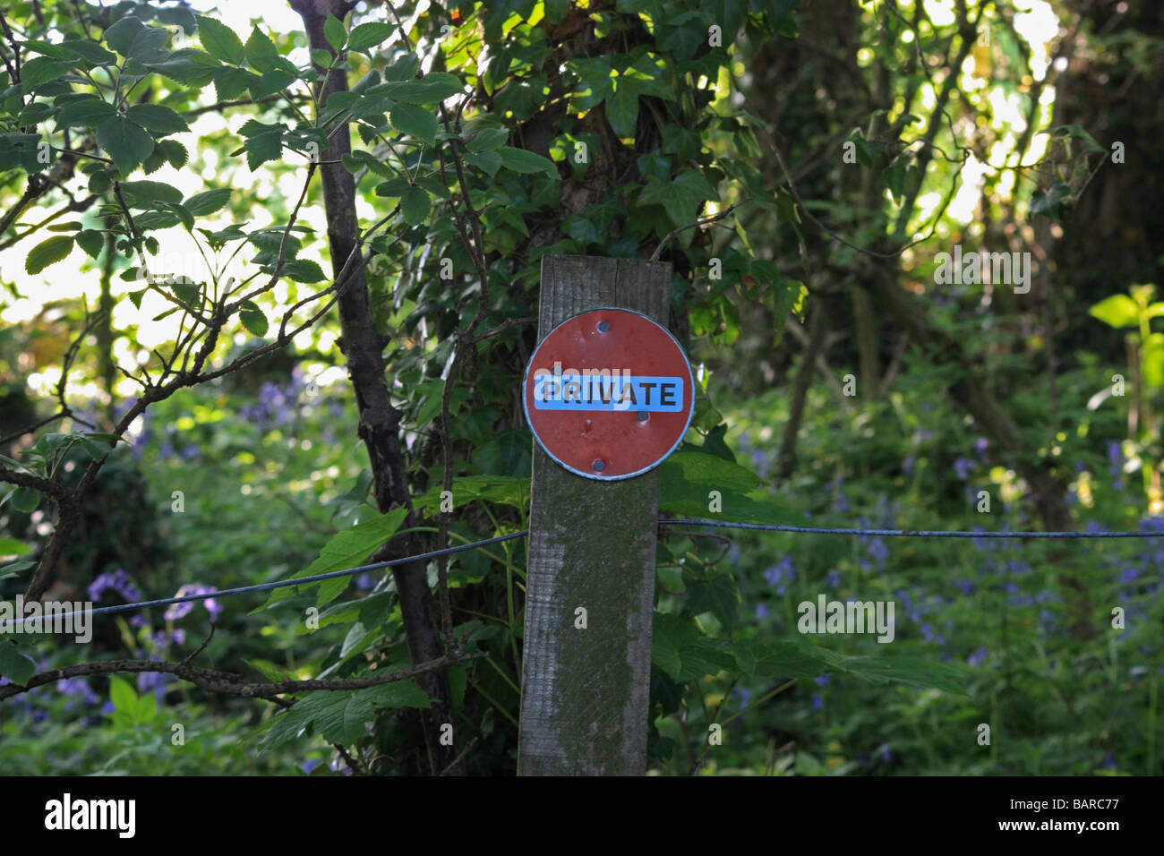 'Private' Schild an einem Zaun im Wald Stockfoto