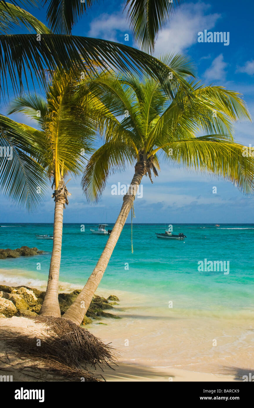 Barbados St Lawrence Gap Strand Stockfoto