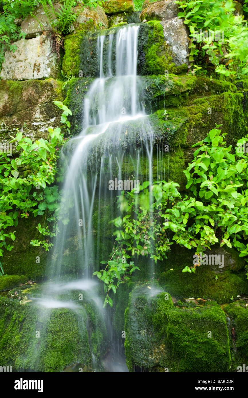 Cascading Wasserfall über üppige Moos auf dem Gelände des Ness Botanical Gardens, Ness, Cheshire, Großbritannien Stockfoto