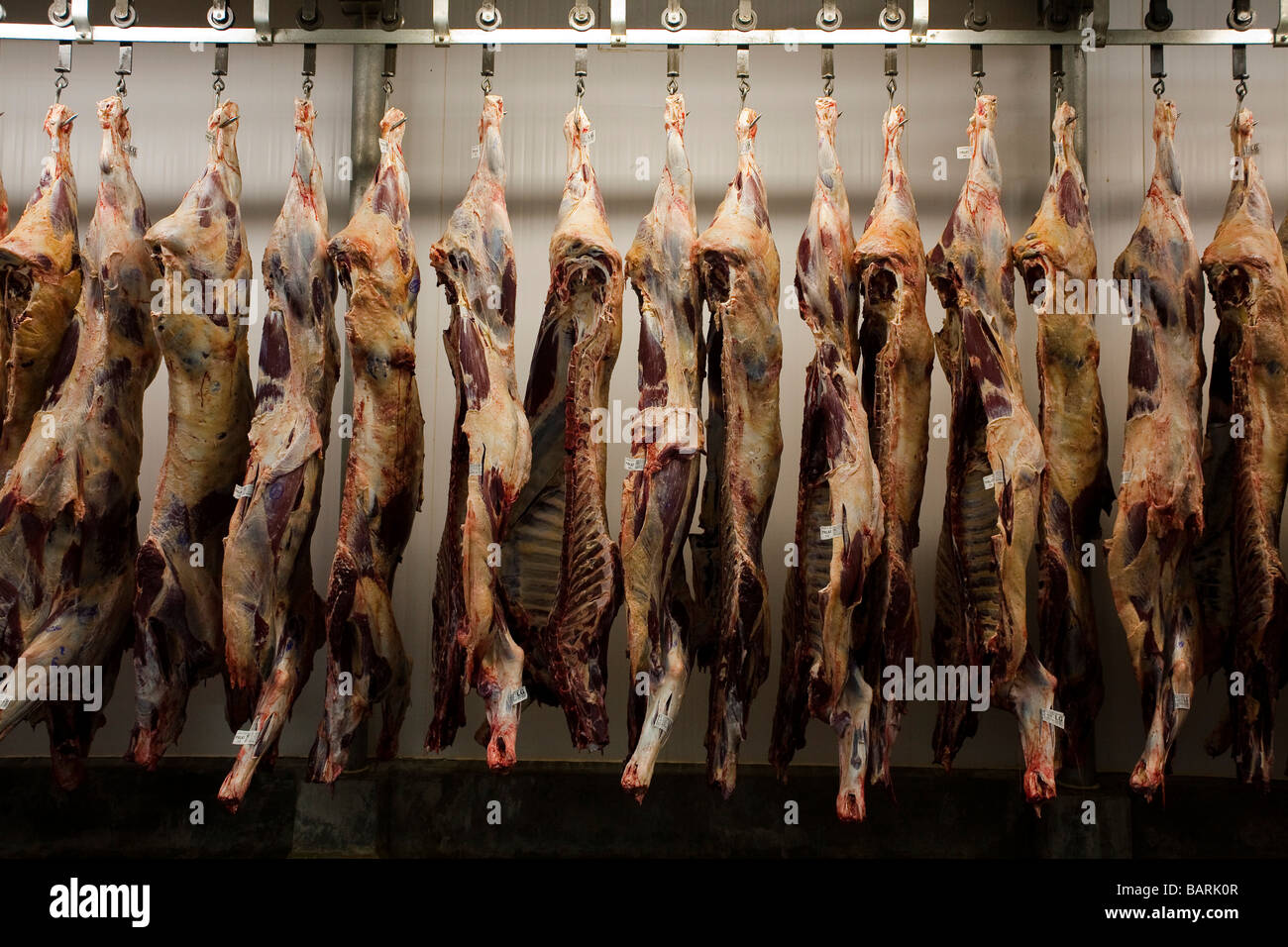 Schlachthof Anlage Fleisch exportieren Mato Grosso Staat Amazonas Brasilien Stockfoto