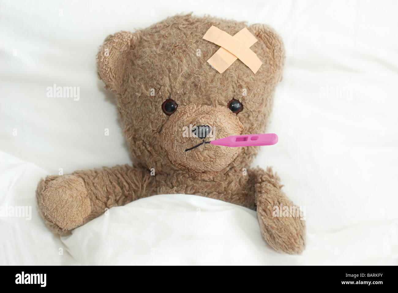 Teddy im Krankenhaus Stockfoto