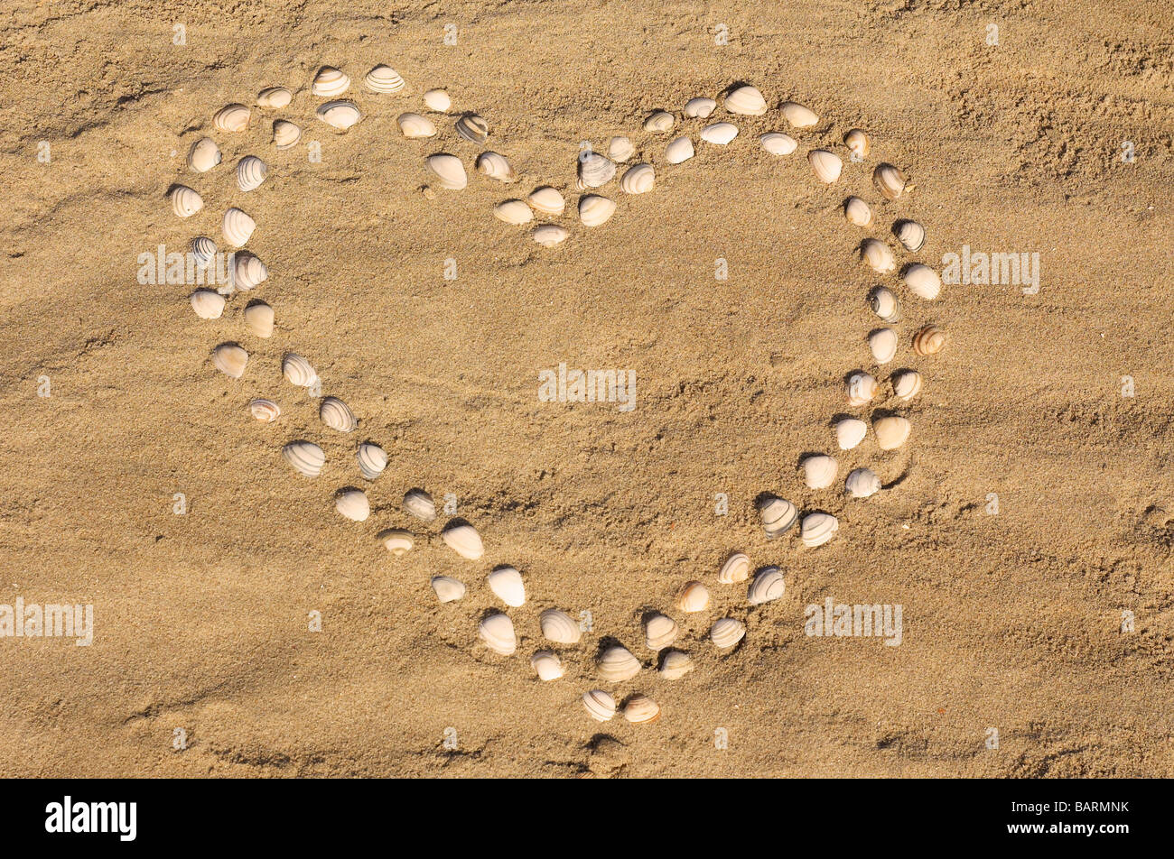 Muschel-Herz am Strand Stockfoto