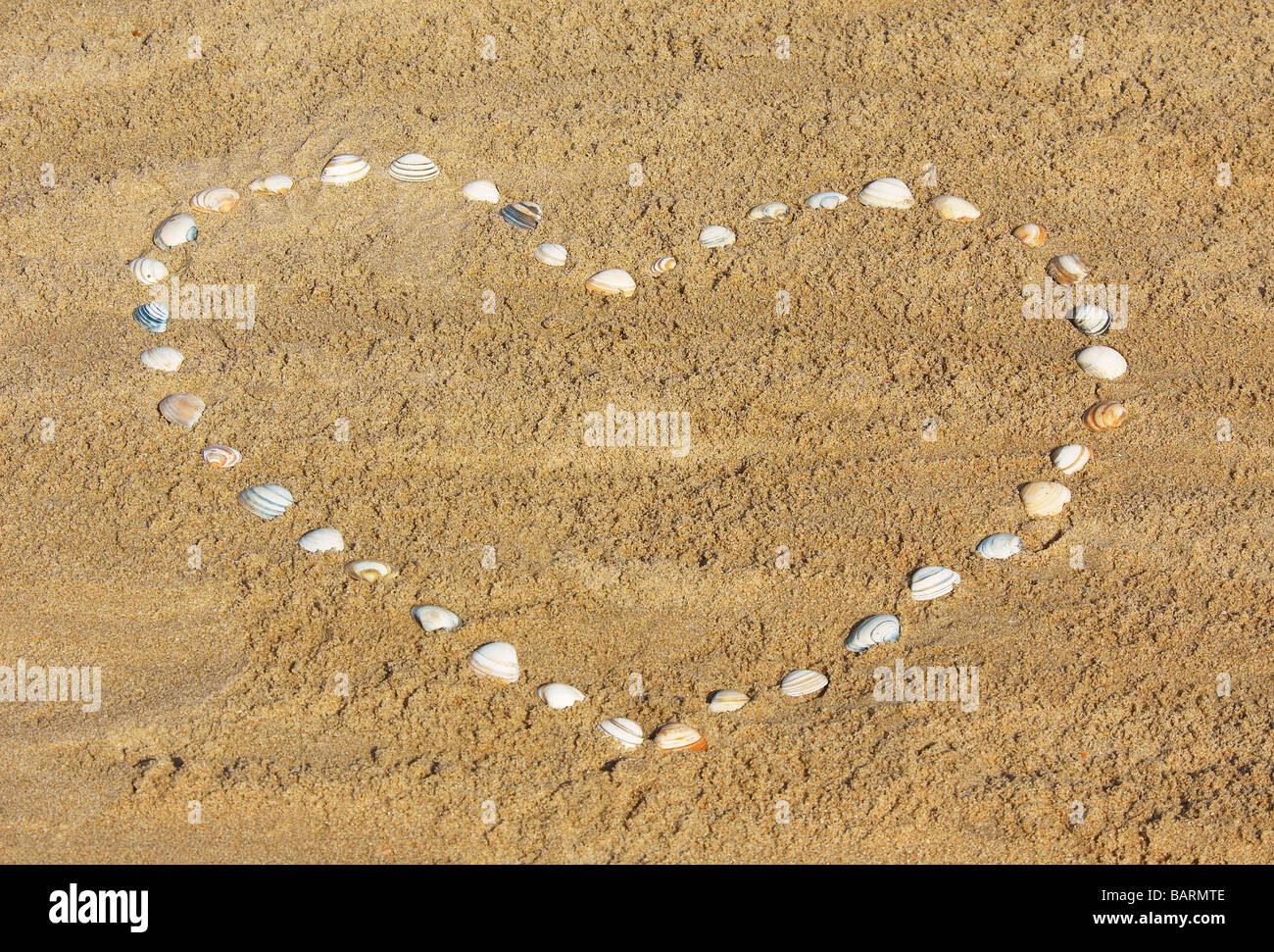 Muschel-Herz am Strand Stockfoto