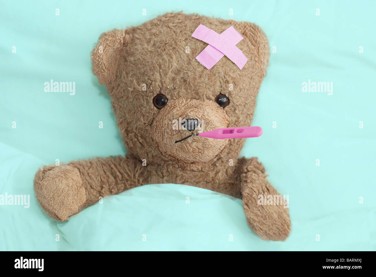 Teddy im Krankenhaus Stockfoto