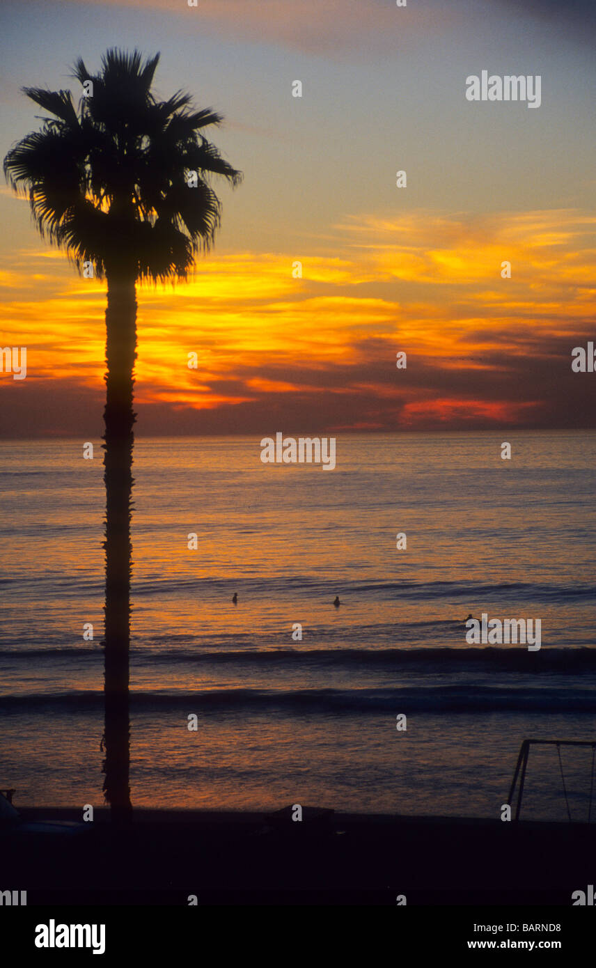 Sonnenuntergang Meer Palmen Meer Strand Wolke Glühen gold Silhouette Boot Welle Surf glitzern Glanz widerspiegeln Stockfoto