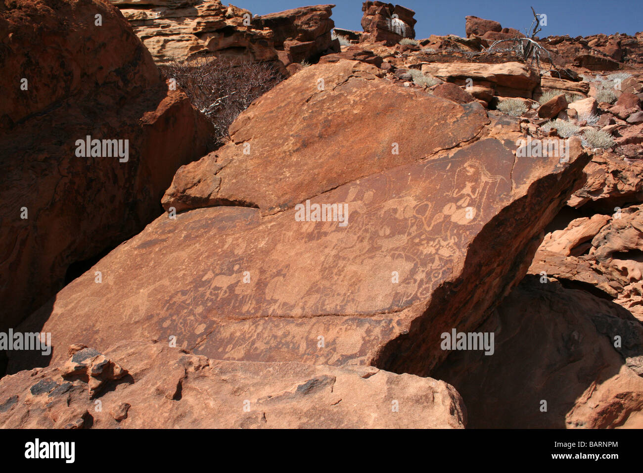 Großen Block aus Sandstein zeigt Rock Carvings, Twyfelfontein, Namibia, Afrika Stockfoto