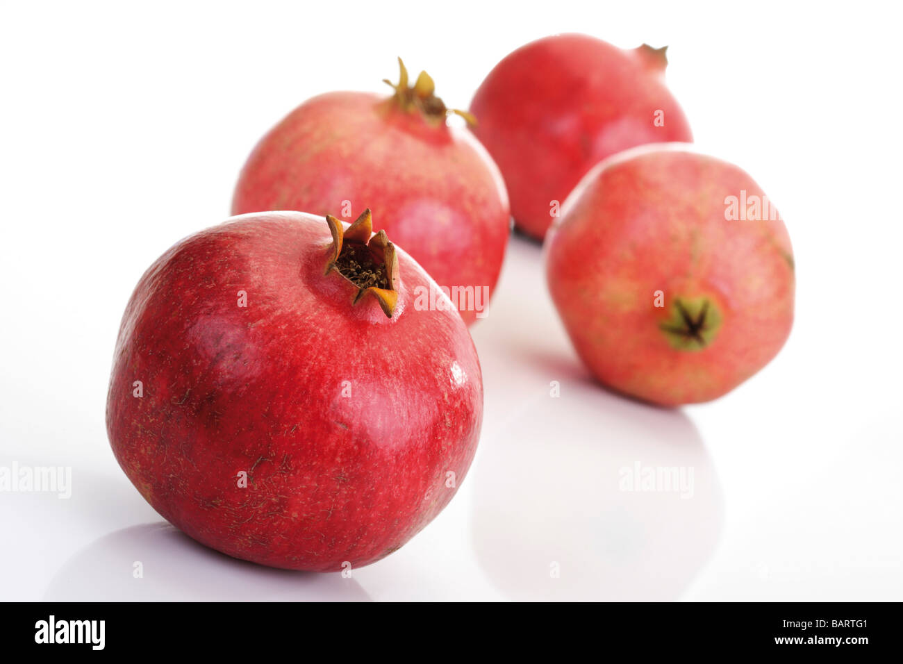 Granatäpfel (Punica Granatum) Stockfoto