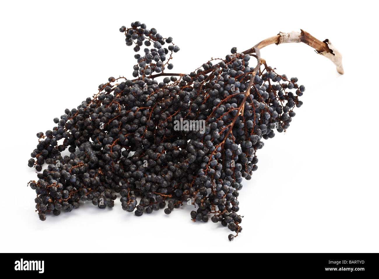 Acai Beeren Stockfoto