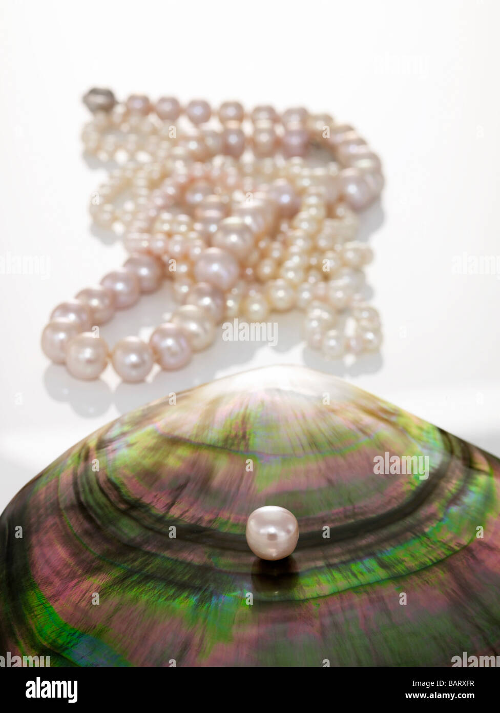 Perle am Muschel Perlen Halskette im Hintergrund Stockfoto