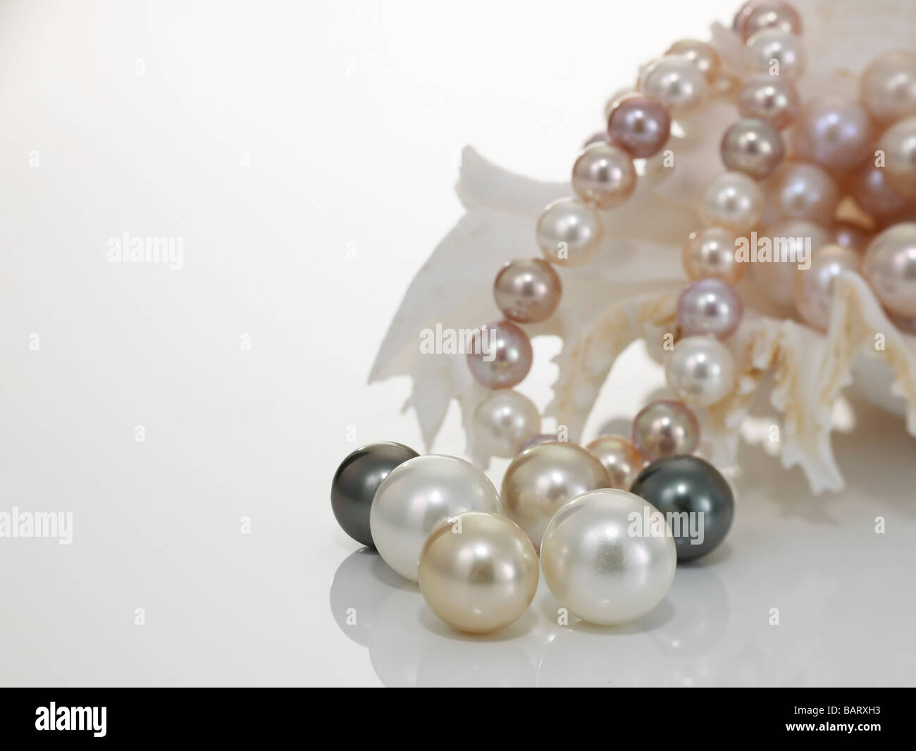 Perle Halskette und Perlen mit nautilus Stockfoto