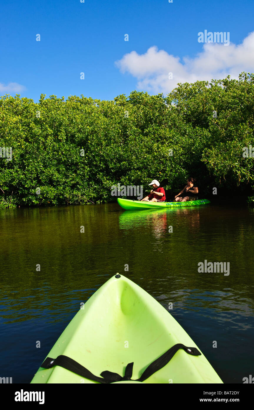 See-Kajak der Mangroven in Lac Bay Bonaire Stockfoto