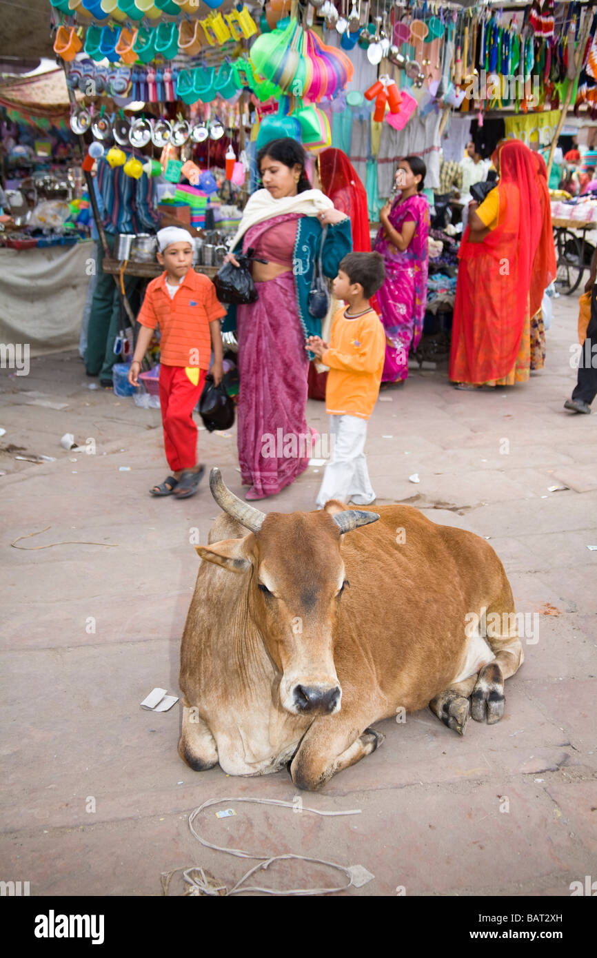Kuh und Shopper in Sardar Market, Jodhpur, Rajasthan, Indien Stockfoto