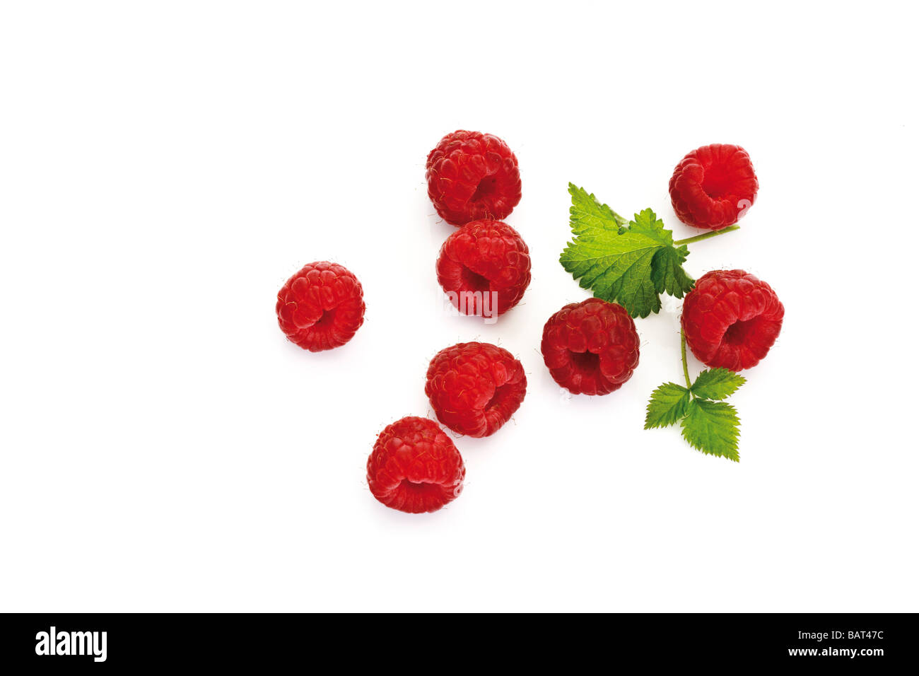 Himbeeren und Blätter, erhöhten Blick Stockfoto